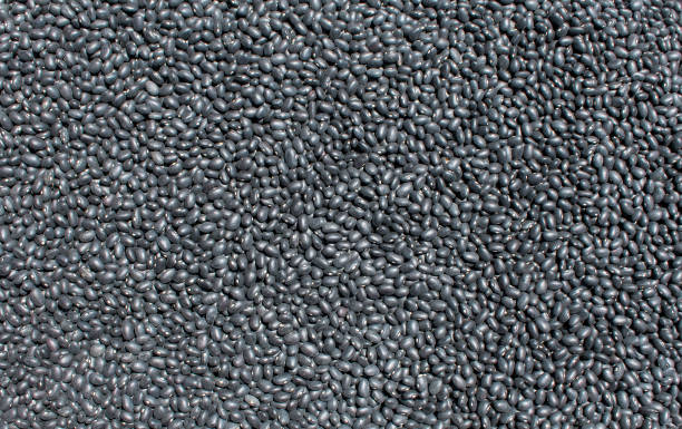 The Matel International - WhatsApp Image 2025-09-29 at 10.23.47 AM (3)